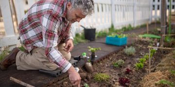 Taking the back pain out of gardening