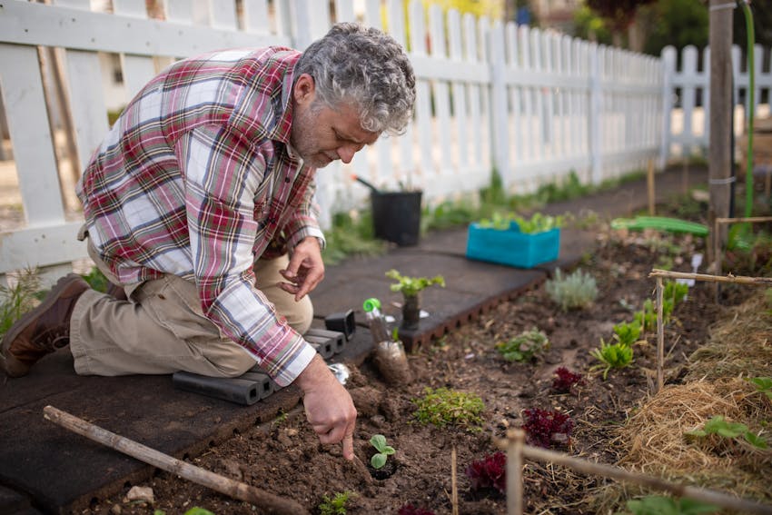 Taking the back pain out of gardening