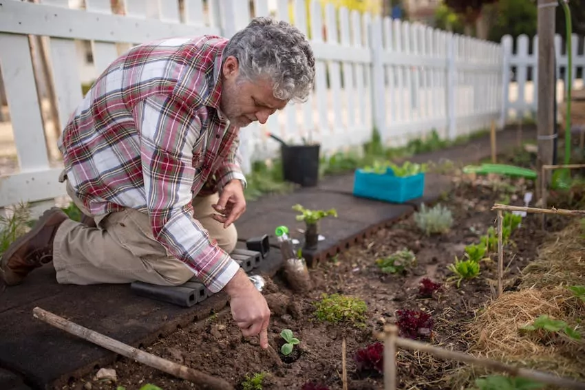 Taking the back pain out of gardening. A Chislehurst perspective.